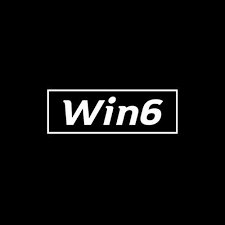 win6 Pro 2024